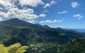 Le Petit Paradis