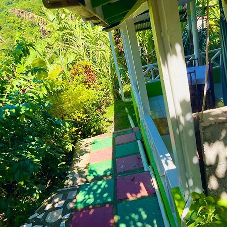 Le Petit Paradis Roseau Exterior photo