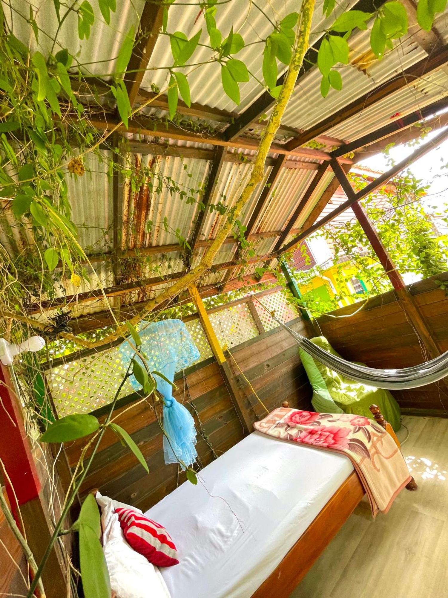 Le Petit Paradis Roseau Exterior photo